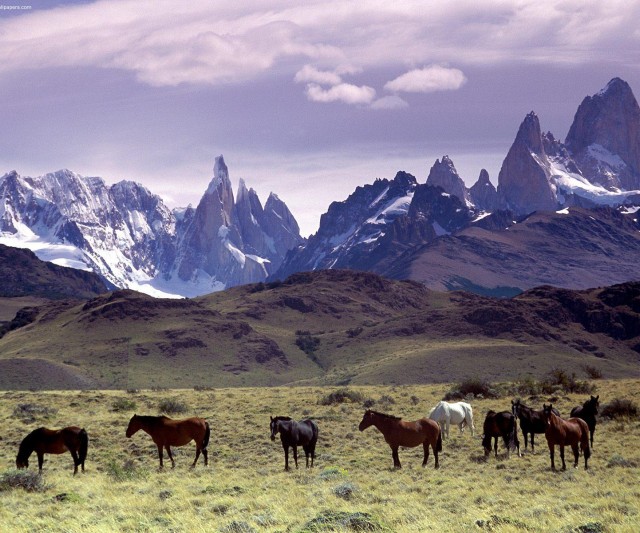 Patagonia se implanta como Destino Internacional