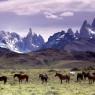 1-destino-patagonia