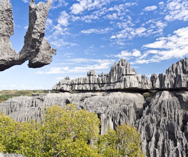 Bosque de Piedra en Madagascar