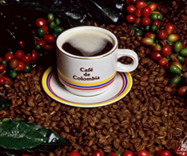 La Ruta Del Café En Quindío