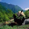 3-Sichuan