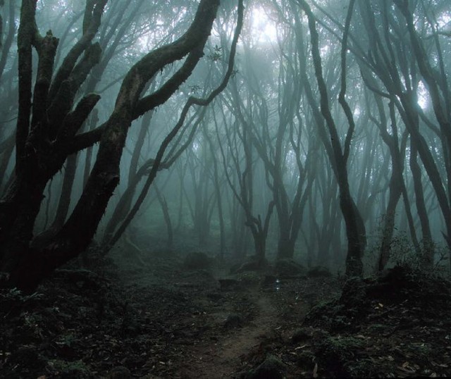 Top_5_Los_Sitios_Mas_Terrorificos_En_El_Mundo