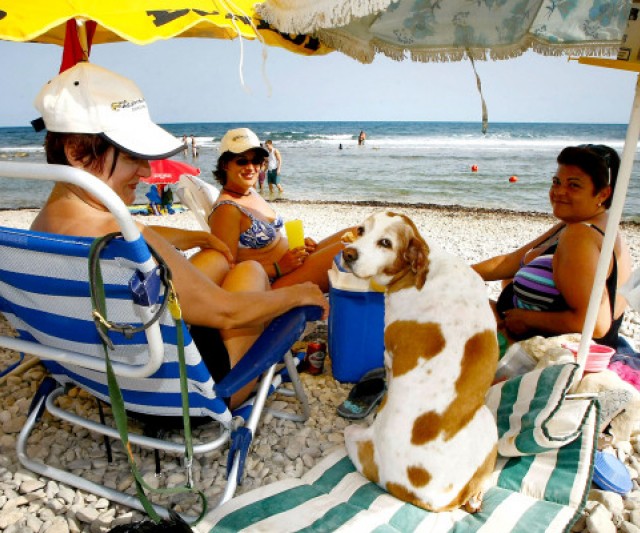 Playas de España donde puedes llevar tu perro