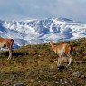 turismo-en-patagonia